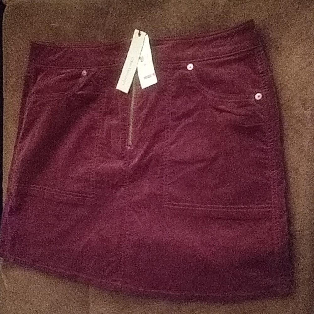 Brand New with tag skirt
